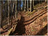 Mače - Planina Dolga njiva